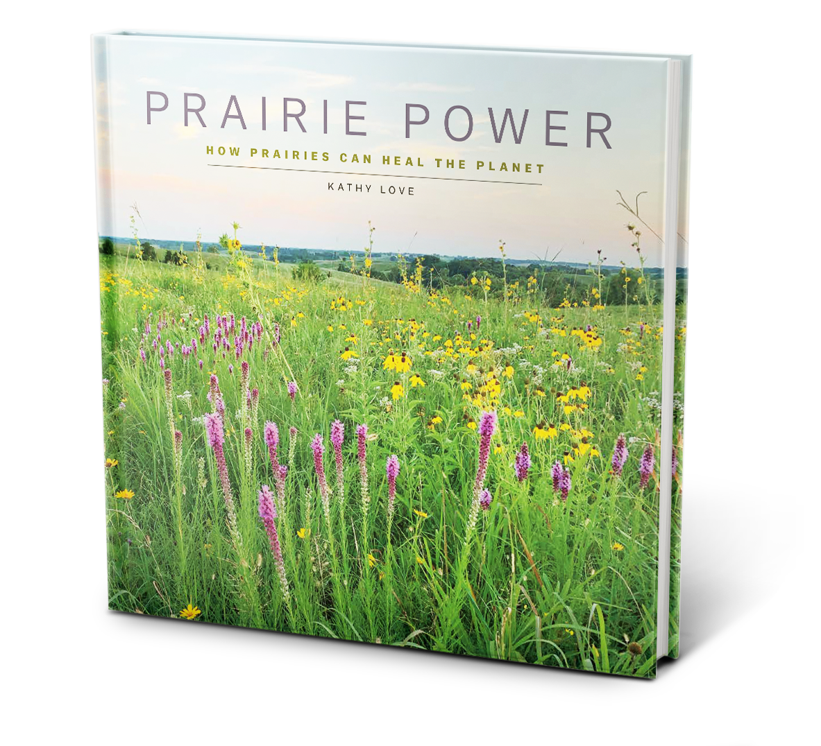 The book “Prairie Power: How Prairies Can Heal the Planet” standing upright.